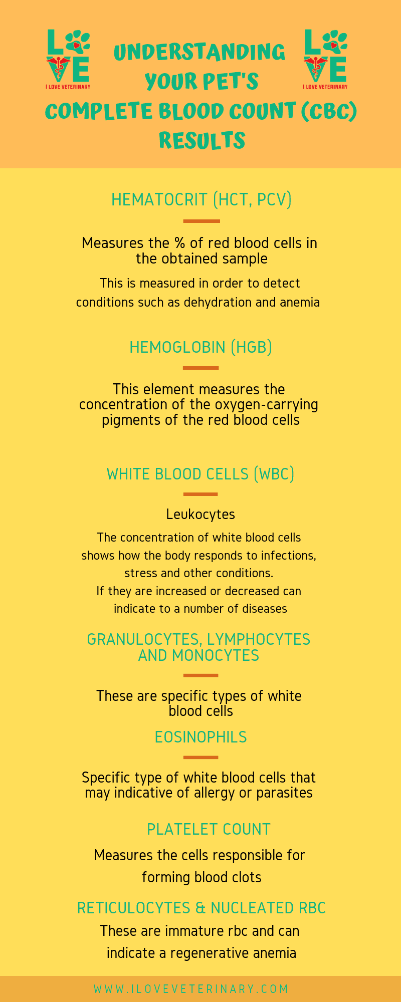 Understanding your pet's CBC results I Love Veterinary