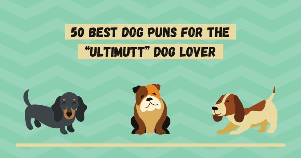 50 Best Dog Puns for the “Ultimutt” Dog Lover - I Love Veterinary