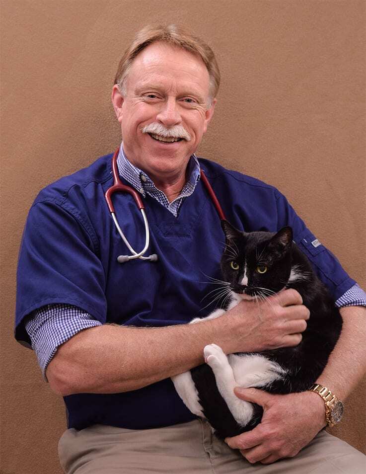 Vet Clinic of the Week: La Crosse Veterinary Clinic 1 I Love Veterinary - Blog for Veterinarians, Vet Techs, Students Vet Clinic of the Week La Crosse Veterinary Clinic staff, vet Dave with a cat - I Love Veterinary
