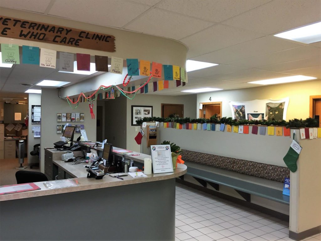 Vet Clinic of the Week: La Crosse Veterinary Clinic 2 I Love Veterinary - Blog for Veterinarians, Vet Techs, Students Vet Clinic of the Week La Crosse Veterinary Clinic - I Love Veterinary