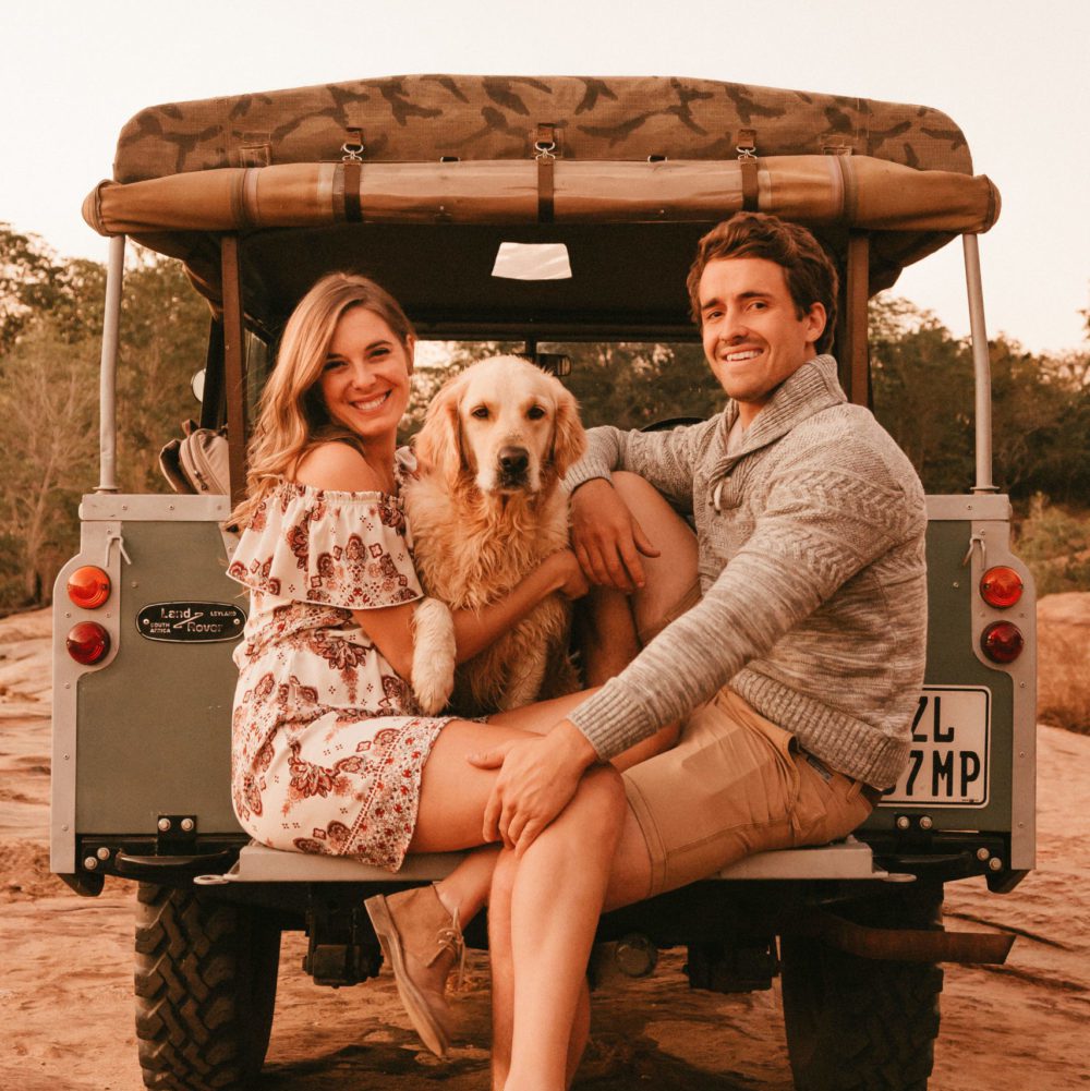 Can Dogs Eat Sweet Potatoes? A Veterinarian’s Point of View 28 I Love Veterinary - Blog for Veterinarians, Vet Techs, Students Kaylee Ferreira