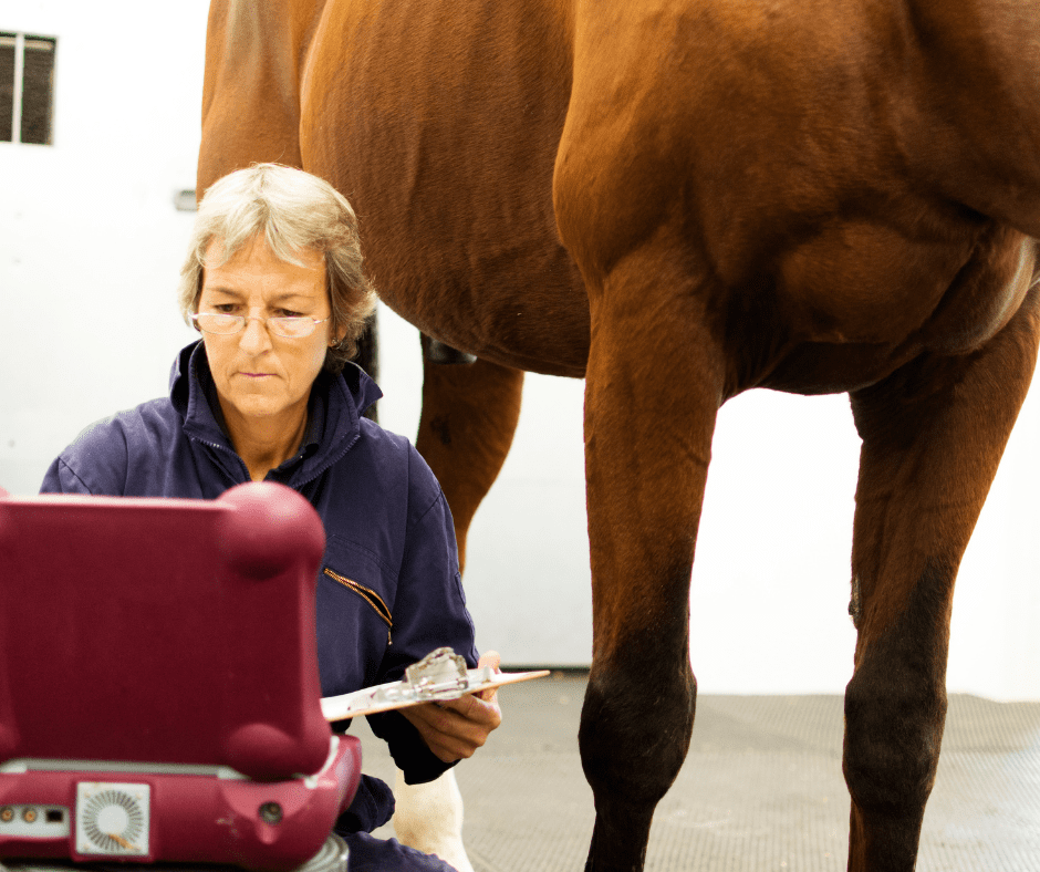 A Career Spotlight on The Animal Psychology Field 1 I Love Veterinary - Blog for Veterinarians, Vet Techs, Students animal psychology 1 I Love Veterinary - Blog for Veterinarians, Vet Techs, Students