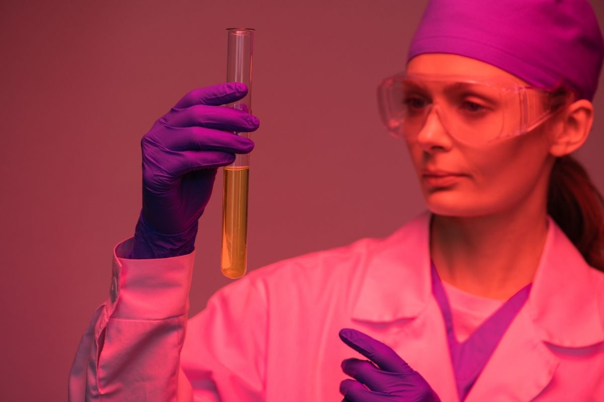 How to Get a Urine Sample From a Cat 1 I Love Veterinary - Blog for Veterinarians, Vet Techs, Students Doing Urine Analysis
