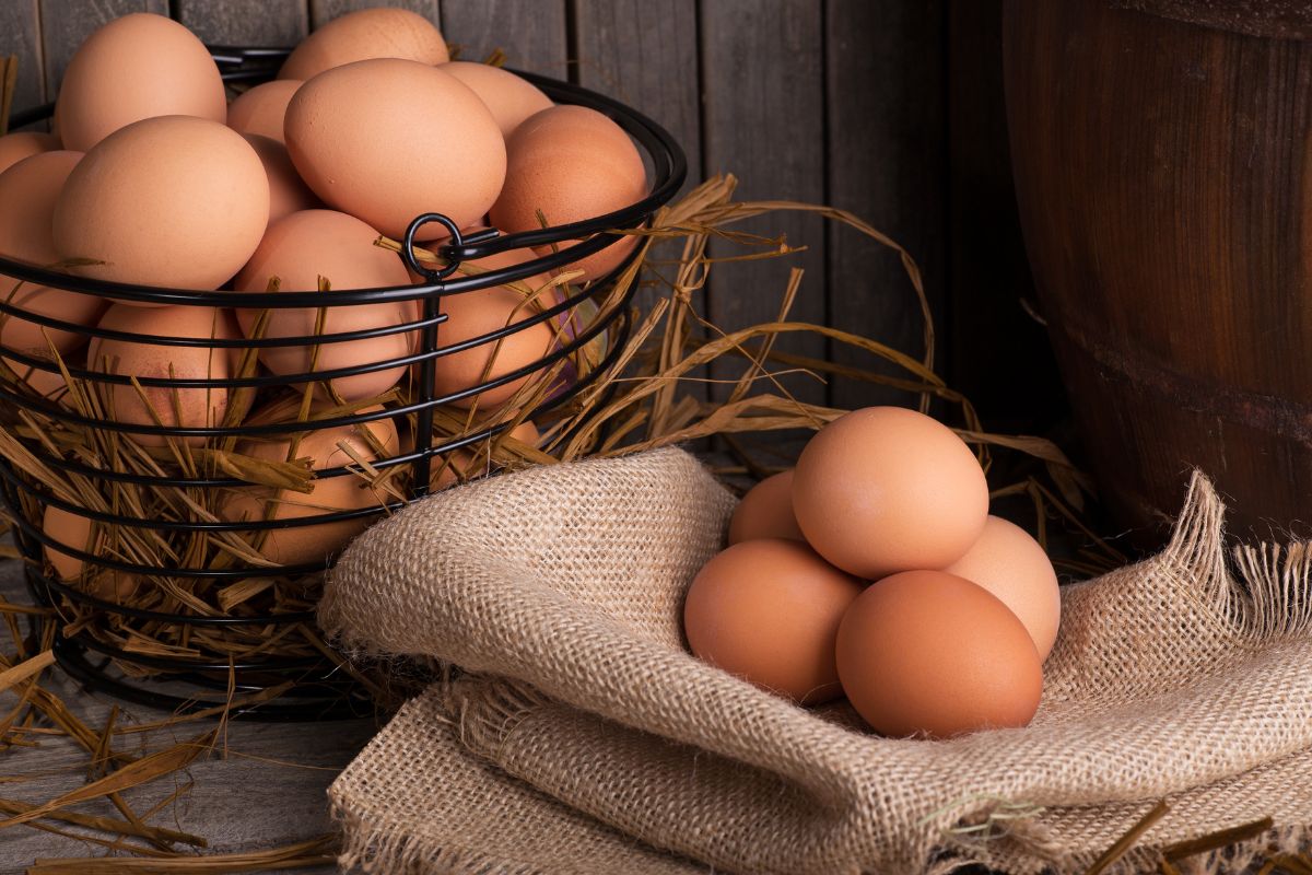 Celebrating the Foul on National Poultry Day 4 I Love Veterinary - Blog for Veterinarians, Vet Techs, Students Eggs in a basket and some eggs on raffia