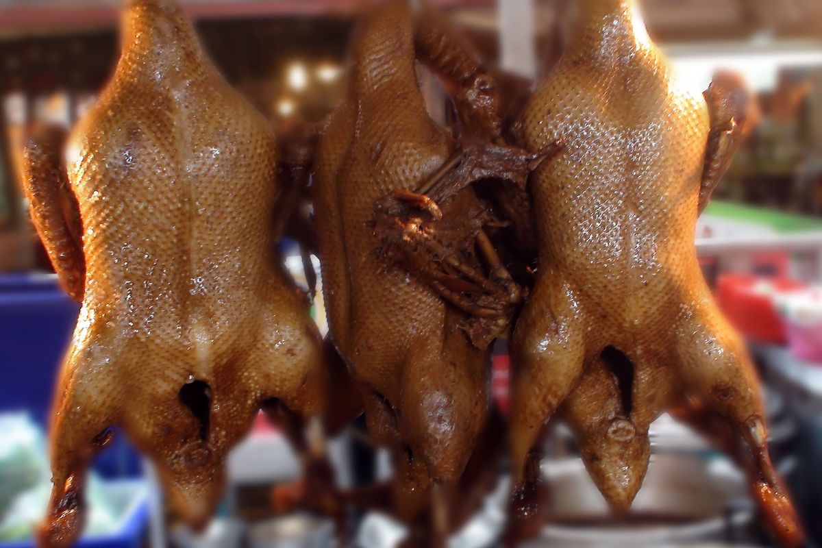 Celebrating the Foul on National Poultry Day 5 I Love Veterinary - Blog for Veterinarians, Vet Techs, Students Whole-roasted duck on a rottiserie