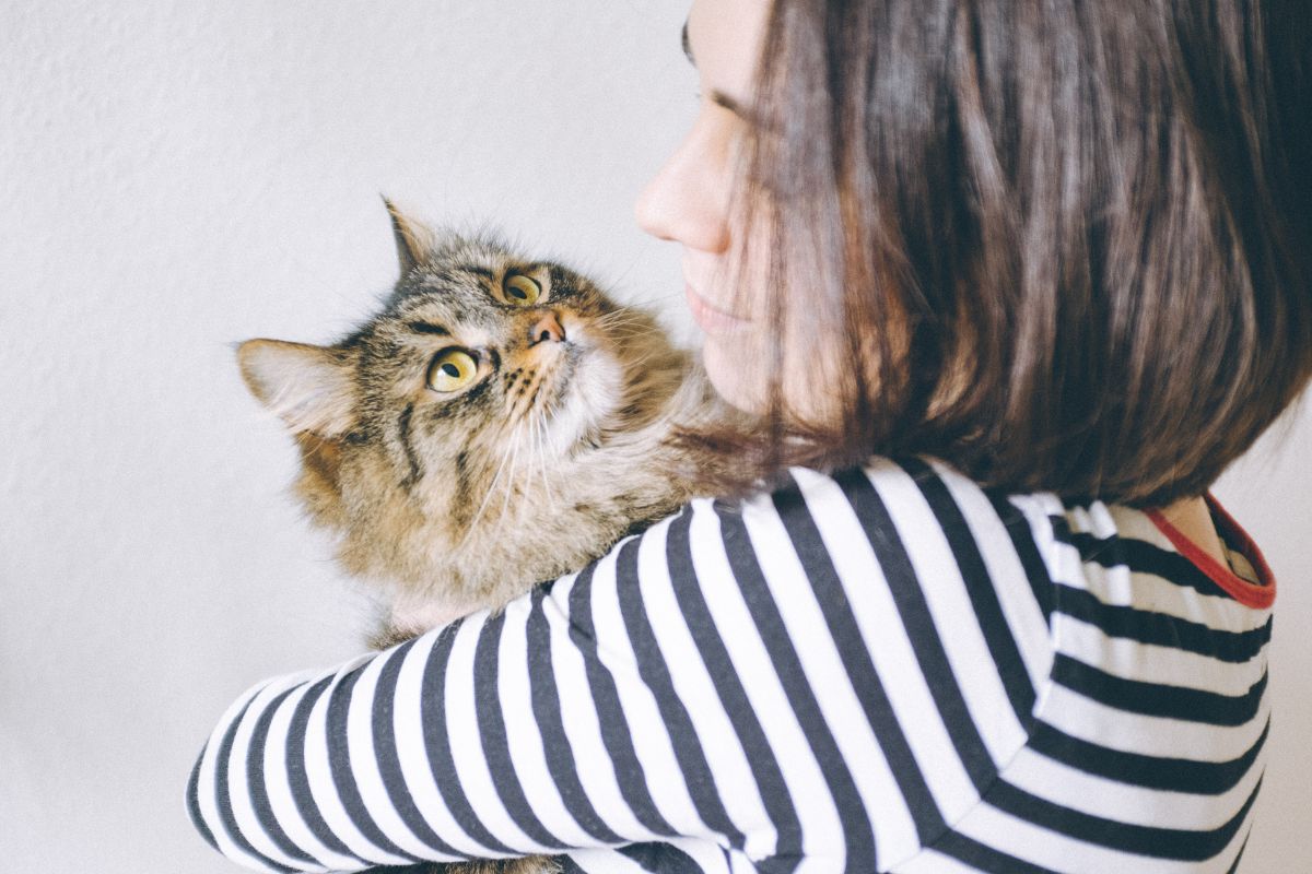 Veterinary Advice on Dealing With Tapeworms in Cats 2 I Love Veterinary - Blog for Veterinarians, Vet Techs, Students Girl hugging her cat