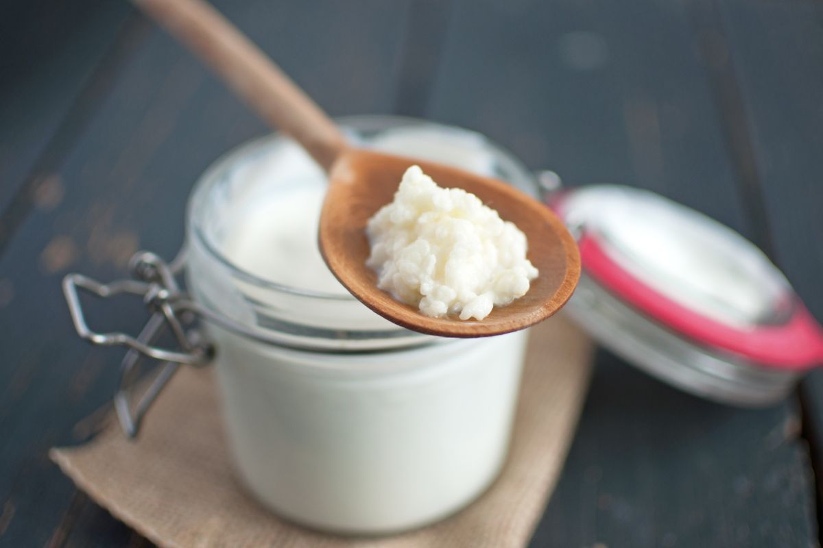Is Kefir Good for Dogs? Yes or No? 1 I Love Veterinary - Blog for Veterinarians, Vet Techs, Students Kefir